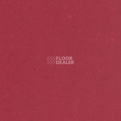Линолеум Vertigo Eden E30414 CHILI PEPPER фото 1 | FLOORDEALER